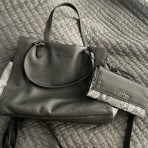 Jessica Simpson handbag and wallet